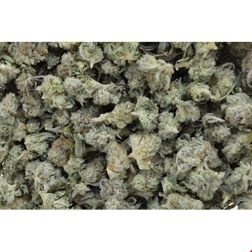 Frosted Apple (Popcorn Buds) (Hybrid) - SALE 1 OZ $55